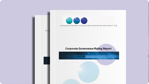 Corporate Governance Assessment Report