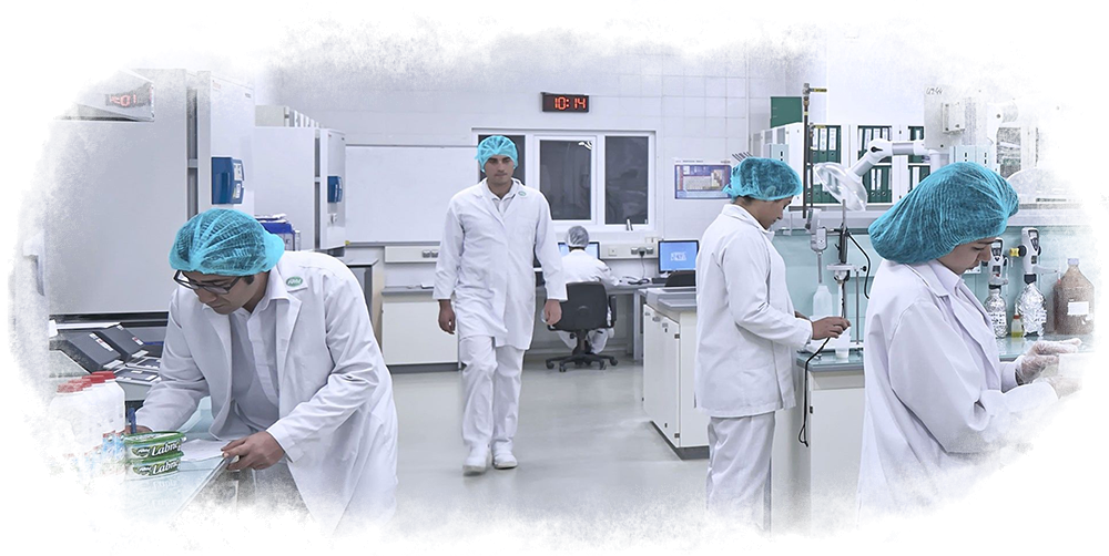 R&D R&D