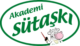 Academy Sütaş