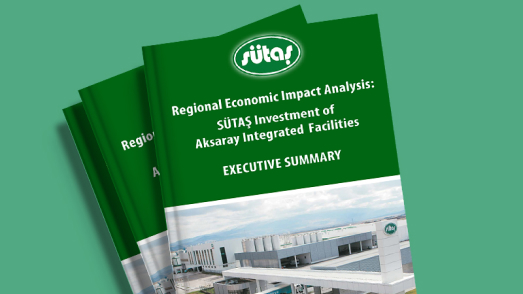 Aksaray Impact Analysis Report