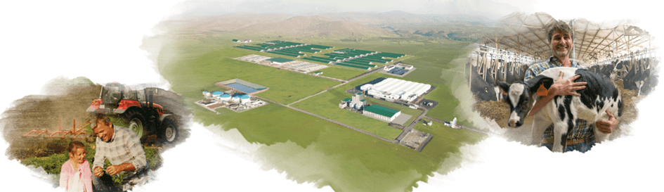SÜTAŞ DOĞU-GÜNEYDOĞU ANADOLU SÜTÇÜLÜK
PROJESİ BİNGÖL ENTEGRE TESİSLERİ YATIRIMININ
SOSYO-EKONOMİK ETKİLERİ Sütaş Doğu - Güney Doğu Anadolu Sütçülük Projesi Bingöl Entegre Tesisleri