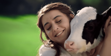 Tips For a Good, Healthy Yogurt; Benefits of Milk Must be Protected. Tips For a Good, Healthy Yogurt; Benefits of Milk Must be Protected.