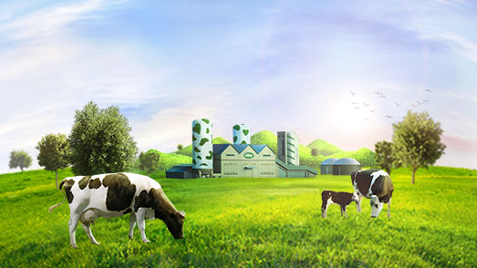 Advertisement Videos