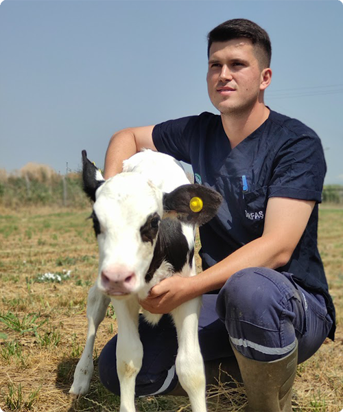 Calf and Caretaker