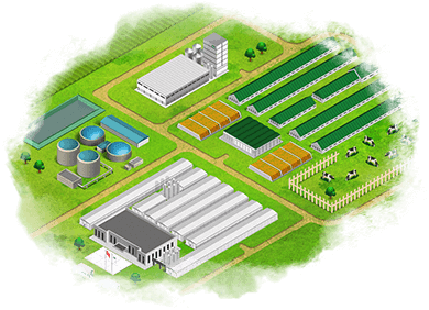 Farm to Table