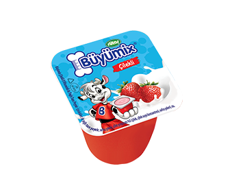 Büyükmix Strawberry 40 gr