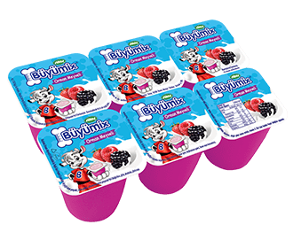 Sütaş Büyümix Forest Fruity 6x40 g