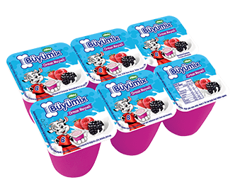 Sütaş Büyümix Forest Fruity 6x40 gr