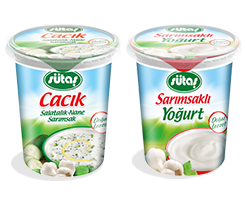 Garlic Yogurt and Caciki