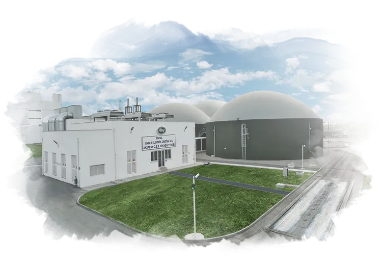 Biogas Plant Biogas Plant