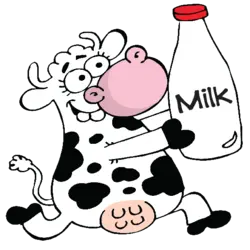 Cow Cow
