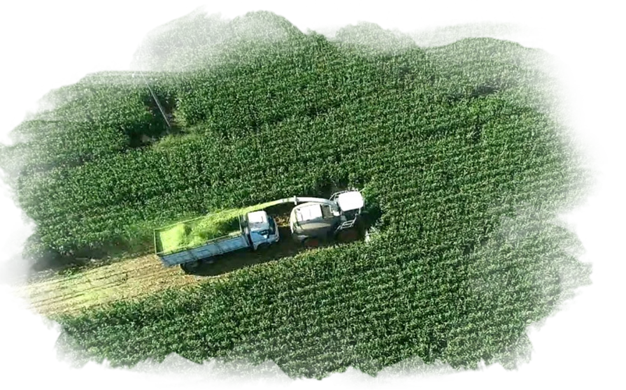 Regenerative Agriculture Regenerative Agriculture